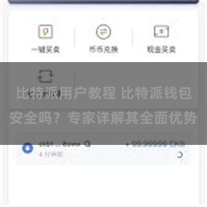 比特派用户教程 比特派钱包安全吗？专家详解其全面优势