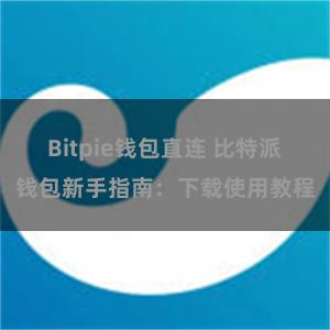 Bitpie钱包直连 比特派钱包新手指南：下载使用教程