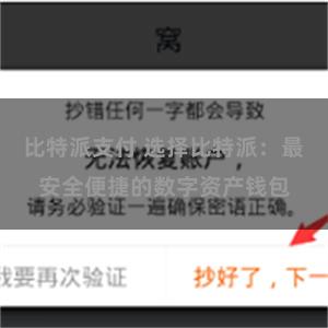 比特派支付 选择比特派：最安全便捷的数字资产钱包