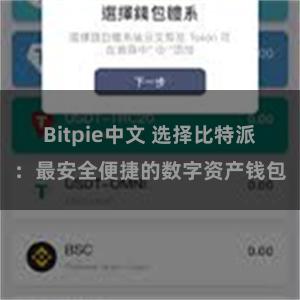 Bitpie中文 选择比特派：最安全便捷的数字资产钱包