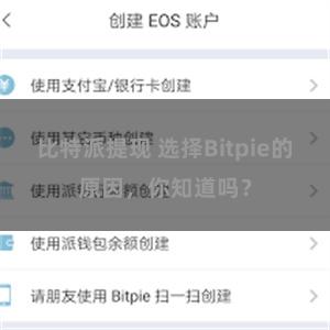 比特派提现 选择Bitpie的原因，你知道吗？