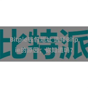 Bitpie钱包地址 选择Bitpie的原因，你知道吗？