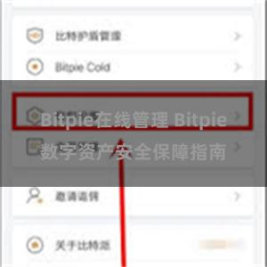 Bitpie在线管理 Bitpie数字资产安全保障指南