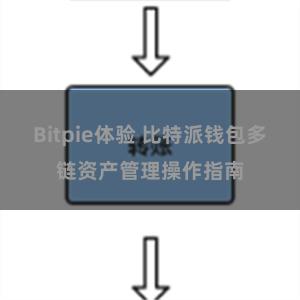 Bitpie体验 比特派钱包多链资产管理操作指南