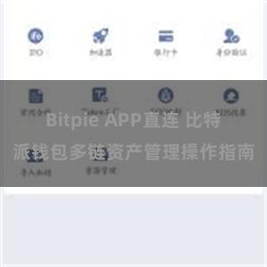 Bitpie APP直连 比特派钱包多链资产管理操作指南