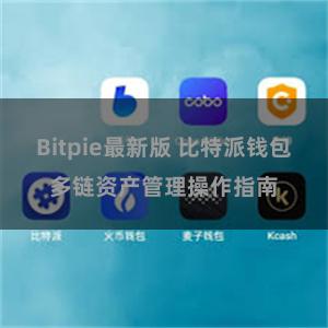 Bitpie最新版 比特派钱包多链资产管理操作指南