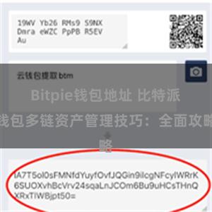 Bitpie钱包地址 比特派钱包多链资产管理技巧：全面攻略