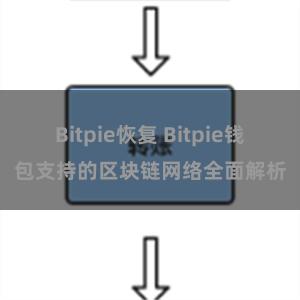 Bitpie恢复 Bitpie钱包支持的区块链网络全面解析