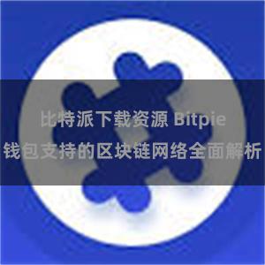 比特派下载资源 Bitpie钱包支持的区块链网络全面解析