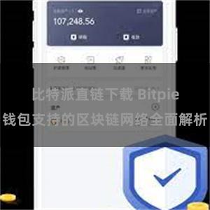 比特派直链下载 Bitpie钱包支持的区块链网络全面解析