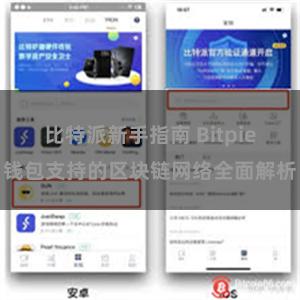 比特派新手指南 Bitpie钱包支持的区块链网络全面解析