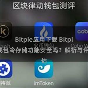 Bitpie应用下载 Bitpie钱包冷存储功能安全吗？解析与评估