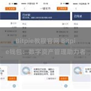 Bitpie教程官网 Bitpie钱包：数字资产管理助力者