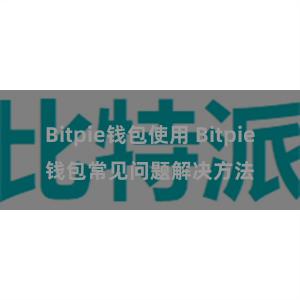 Bitpie钱包使用 Bitpie钱包常见问题解决方法