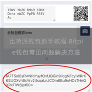 比特派钱包新手教程 Bitpie钱包常见问题解决方法