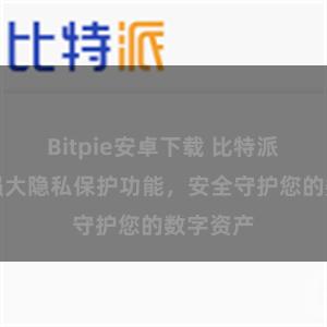 Bitpie安卓下载 比特派钱包：强大隐私保护功能，安全守护您的数字资产