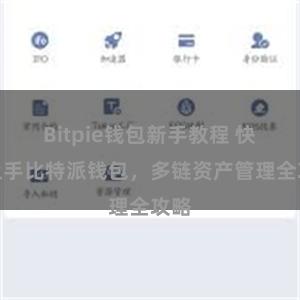 Bitpie钱包新手教程 快速上手比特派钱包，多链资产管理全攻略