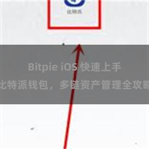 Bitpie iOS 快速上手比特派钱包，多链资产管理全攻略