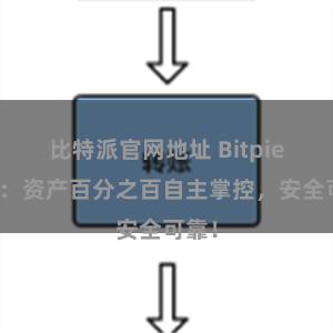 比特派官网地址 Bitpie钱包：资产百分之百自主掌控，安全可靠！