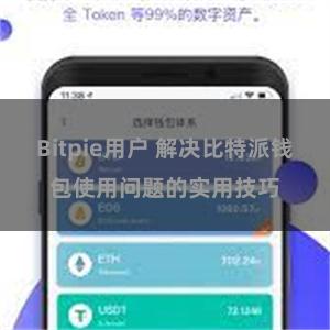 Bitpie用户 解决比特派钱包使用问题的实用技巧