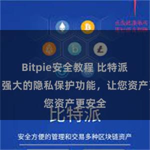 Bitpie安全教程 比特派钱包：强大的隐私保护功能，让您资产更安全