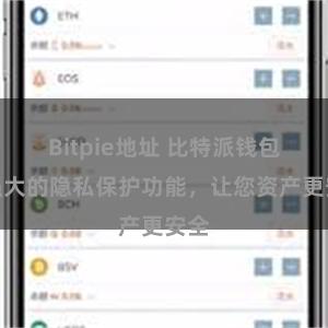 Bitpie地址 比特派钱包：强大的隐私保护功能，让您资产更安全