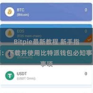 Bitpie最新教程 新手指南：下载并使用比特派钱包必知事项