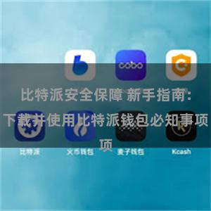 比特派安全保障 新手指南：下载并使用比特派钱包必知事项