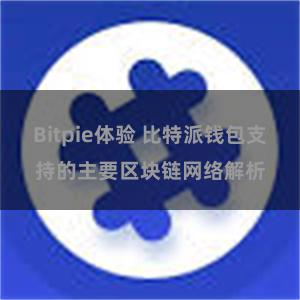 Bitpie体验 比特派钱包支持的主要区块链网络解析