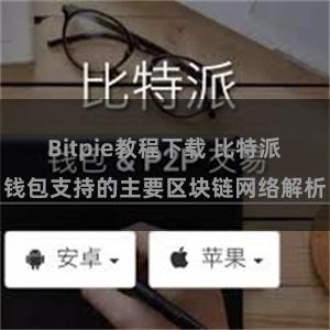 Bitpie教程下载 比特派钱包支持的主要区块链网络解析