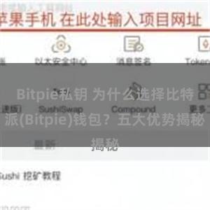 Bitpie私钥 为什么选择比特派(Bitpie)钱包？五大优势揭秘