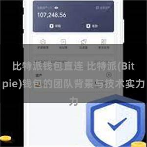 比特派钱包直连 比特派(Bitpie)钱包的团队背景与技术实力