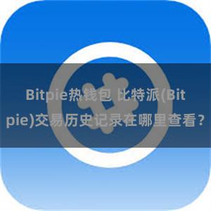 Bitpie热钱包 比特派(Bitpie)交易历史记录在哪里查看？