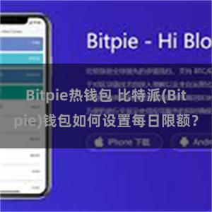 Bitpie热钱包 比特派(Bitpie)钱包如何设置每日限额？