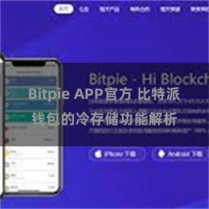 Bitpie APP官方 比特派钱包的冷存储功能解析