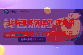 比特派多链钱包 匡助用户了解我方的金钱情况