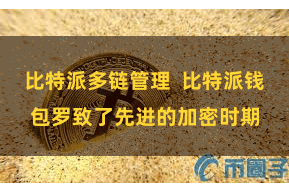 比特派多链管理 比特派钱包罗致了先进的加密时期