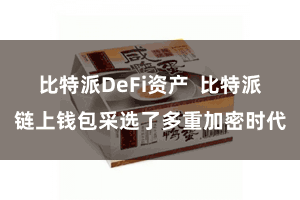 比特派DeFi资产  比特派链上钱包采选了多重加密时代